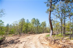 property photo for Eagles Nest Ranch Tract 21, 7.93 acres for sale in Pushmataha County, Oklahoma