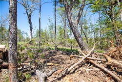 property photo for Eagles Nest Ranch Tract 21, 7.93 acres for sale in Pushmataha County, Oklahoma