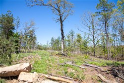 property photo for Eagles Nest Ranch Tract 21, 7.93 acres for sale in Pushmataha County, Oklahoma