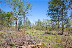 property photo for Eagles Nest Ranch Tract 21, 7.93 acres for sale in Pushmataha County, Oklahoma