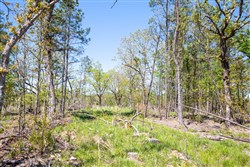property photo for Eagles Nest Ranch Tract 21, 7.93 acres for sale in Pushmataha County, Oklahoma