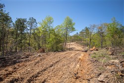 property photo for Eagles Nest Ranch Tract 22, 9.21 acres for sale in Pushmataha County, Oklahoma