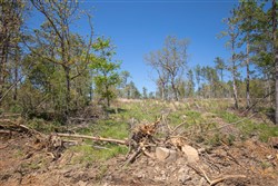 property photo for Eagles Nest Ranch Tract 22, 9.21 acres for sale in Pushmataha County, Oklahoma