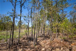 property photo for Eagles Nest Ranch Tract 22, 9.21 acres for sale in Pushmataha County, Oklahoma