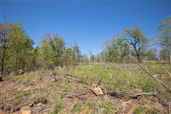 property photo for Eagles Nest Ranch Tract 22, 9.21 acres for sale in Pushmataha County, Oklahoma