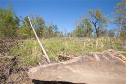 property photo for Eagles Nest Ranch Tract 22, 9.21 acres for sale in Pushmataha County, Oklahoma