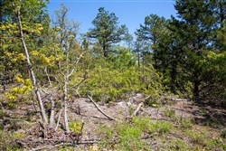 property photo for Eagles Nest Ranch Tract 23, 8.26 acres for sale in Pushmataha County, Oklahoma