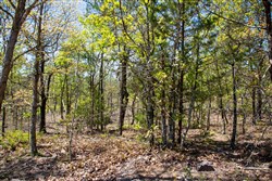 property photo for Eagles Nest Ranch Tract 23, 8.26 acres for sale in Pushmataha County, Oklahoma