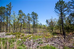 property photo for Eagles Nest Ranch Tract 23, 8.26 acres for sale in Pushmataha County, Oklahoma