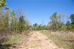 property photo for Eagles Nest Ranch Tract 23, 8.26 acres for sale in Pushmataha County, Oklahoma