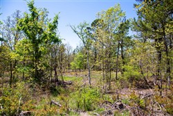 property photo for Eagles Nest Ranch Tract 23, 8.26 acres for sale in Pushmataha County, Oklahoma