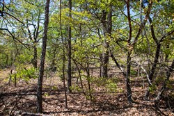 Eagles Nest Ranch Tract 24