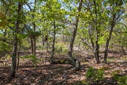 Eagles Nest Ranch Tract 24