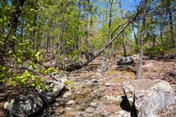 Eagles Nest Ranch Tract 24