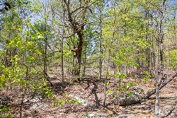 Eagles Nest Ranch Tract 24