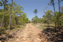property photo for Eagles Nest Ranch Tract 25, 11 acres for sale in Pushmataha County, Oklahoma