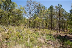 property photo for Eagles Nest Ranch Tract 25, 11 acres for sale in Pushmataha County, Oklahoma