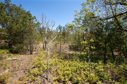 property photo for Eagles Nest Ranch Tract 25, 11 acres for sale in Pushmataha County, Oklahoma