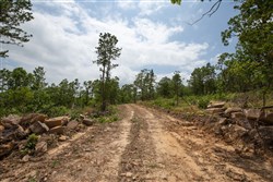 property photo for Eagles Nest Ranch Tract 27, 5.92 acres for sale in Pushmataha County, Oklahoma