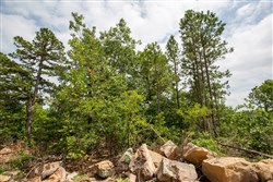 property photo for Eagles Nest Ranch Tract 27, 5.92 acres for sale in Pushmataha County, Oklahoma