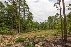 property photo for Eagles Nest Ranch Tract 27, 5.92 acres for sale in Pushmataha County, Oklahoma