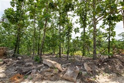 property photo for Eagles Nest Ranch Tract 27, 5.92 acres for sale in Pushmataha County, Oklahoma