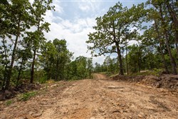 property photo for Eagles Nest Ranch Tract 27, 5.92 acres for sale in Pushmataha County, Oklahoma