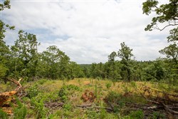 property photo for Eagles Nest Ranch Tract 27, 5.92 acres for sale in Pushmataha County, Oklahoma