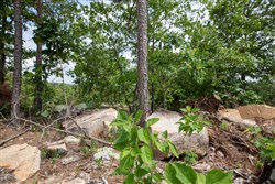 property photo for Eagles Nest Ranch Tract 28, 6.22 acres for sale in Pushmataha County, Oklahoma