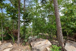 property photo for Eagles Nest Ranch Tract 28, 6.22 acres for sale in Pushmataha County, Oklahoma