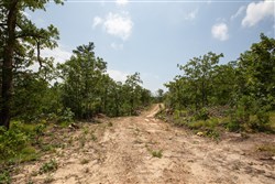 property photo for Eagles Nest Ranch Tract 28, 6.22 acres for sale in Pushmataha County, Oklahoma