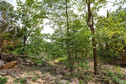 property photo for Eagles Nest Ranch Tract 28, 6.22 acres for sale in Pushmataha County, Oklahoma