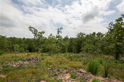 property photo for Eagles Nest Ranch Tract 29, 5.4 acres for sale in Pushmataha County, Oklahoma