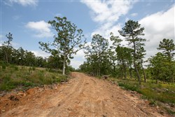 property photo for Eagles Nest Ranch Tract 29, 5.4 acres for sale in Pushmataha County, Oklahoma
