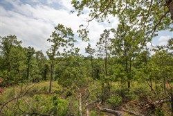 property photo for Eagles Nest Ranch Tract 29, 5.4 acres for sale in Pushmataha County, Oklahoma