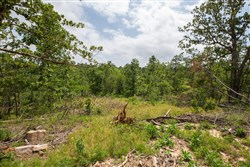 property photo for Eagles Nest Ranch Tract 29, 5.4 acres for sale in Pushmataha County, Oklahoma