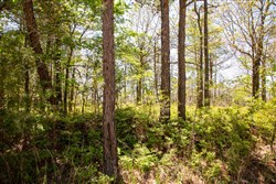 property photo for Eagles Nest Ranch Tract 3, 6.73 acres for sale in Pushmataha County, Oklahoma