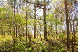 property photo for Eagles Nest Ranch Tract 3, 6.73 acres for sale in Pushmataha County, Oklahoma
