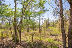 property photo for Eagles Nest Ranch Tract 3, 6.73 acres for sale in Pushmataha County, Oklahoma