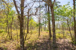 property photo for Eagles Nest Ranch Tract 3, 6.73 acres for sale in Pushmataha County, Oklahoma