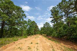 property photo for Eagles Nest Ranch Tract 30, 9.44 acres for sale in Pushmataha County, Oklahoma