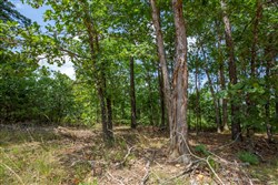 property photo for Eagles Nest Ranch Tract 30, 9.44 acres for sale in Pushmataha County, Oklahoma