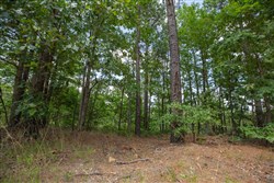 property photo for Eagles Nest Ranch Tract 30, 9.44 acres for sale in Pushmataha County, Oklahoma