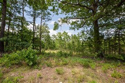 property photo for Eagles Nest Ranch Tract 30, 9.44 acres for sale in Pushmataha County, Oklahoma