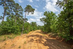 property photo for Eagles Nest Ranch Tract 30, 9.44 acres for sale in Pushmataha County, Oklahoma