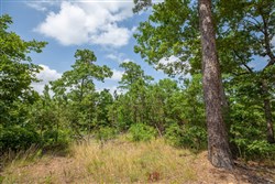 property photo for Eagles Nest Ranch Tract 30, 9.44 acres for sale in Pushmataha County, Oklahoma