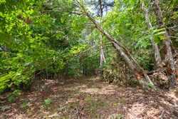 property photo for Eagles Nest Ranch Tract 31, 8.19 acres for sale in Pushmataha County, Oklahoma