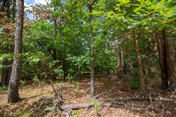 property photo for Eagles Nest Ranch Tract 31, 8.19 acres for sale in Pushmataha County, Oklahoma