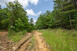 property photo for Eagles Nest Ranch Tract 31, 8.19 acres for sale in Pushmataha County, Oklahoma