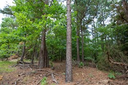 property photo for Eagles Nest Ranch Tract 31, 8.19 acres for sale in Pushmataha County, Oklahoma